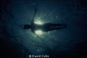 surface silhouette with no added light using nikonos and ... by David Cohn 